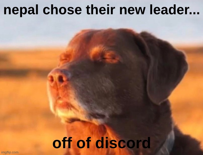 Dog accepting fate | nepal chose their new leader... off of discord | image tagged in dog accepting fate | made w/ Imgflip meme maker