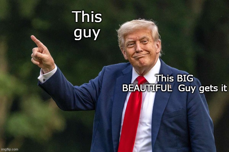 This guy This BIG BEAUTIFUL  Guy gets it | made w/ Imgflip meme maker