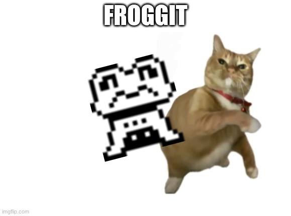 the most random enemy on the list and it was a frog | FROGGIT | image tagged in throwing cat new | made w/ Imgflip meme maker