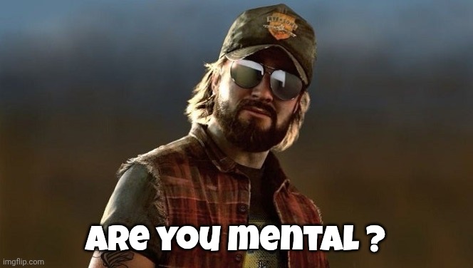 nick rye are you mentally stable | Are you mental ? | image tagged in nick rye are you mentally stable | made w/ Imgflip meme maker