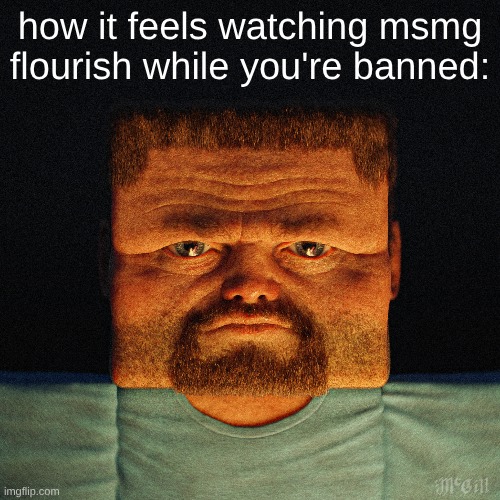 s | how it feels watching msmg flourish while you're banned: | made w/ Imgflip meme maker