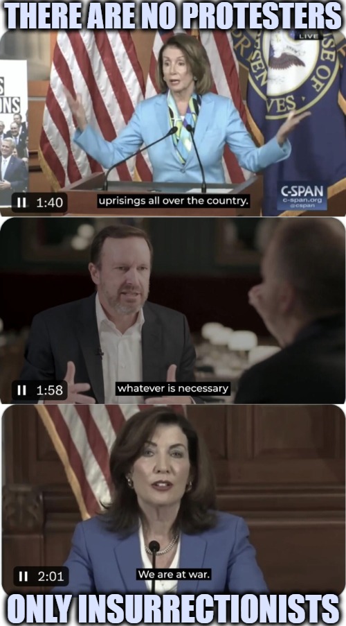 THERE ARE NO PROTESTERS; ONLY INSURRECTIONISTS | image tagged in insurrection,democrats,american politics,assassination | made w/ Imgflip meme maker