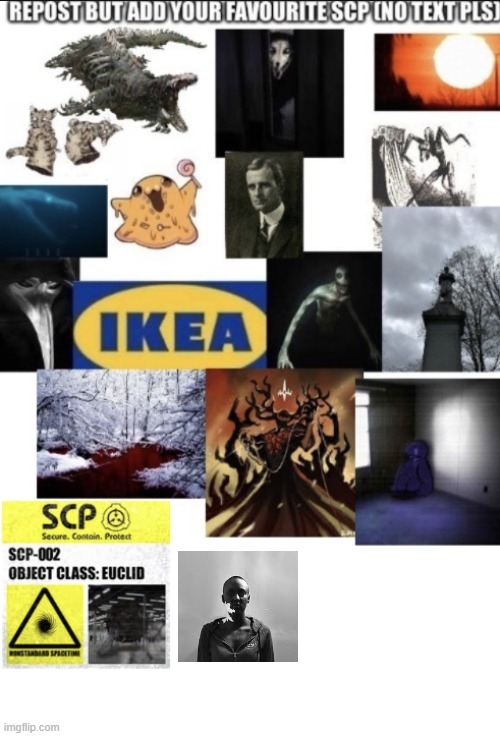 scp 029 | image tagged in scp,scp meme,scp document,idk | made w/ Imgflip meme maker