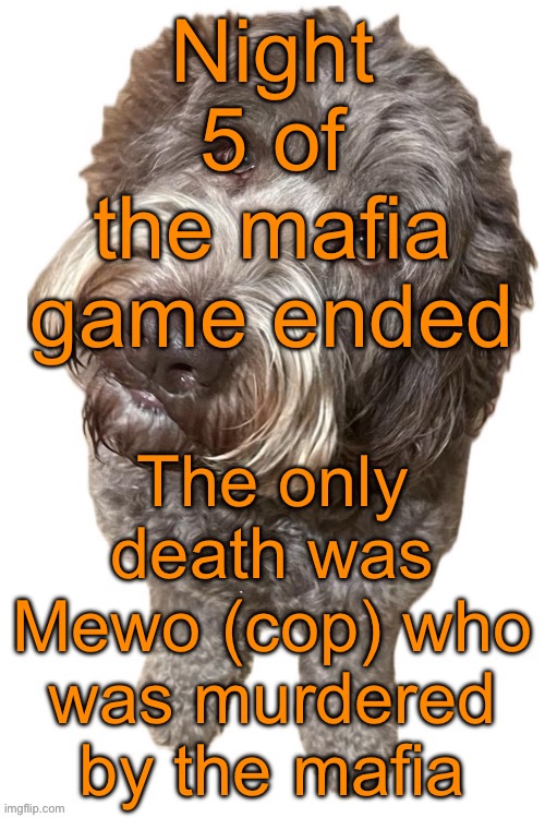 Night 6 will be the last night btw | Night 5 of the mafia game ended; The only death was Mewo (cop) who was murdered by the mafia | image tagged in norther's dog | made w/ Imgflip meme maker
