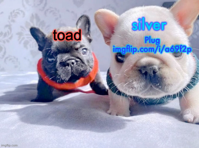 silver and toad's announcement temp | Plug imgflip.com/i/a69f2p | image tagged in silver and toad's announcement temp | made w/ Imgflip meme maker