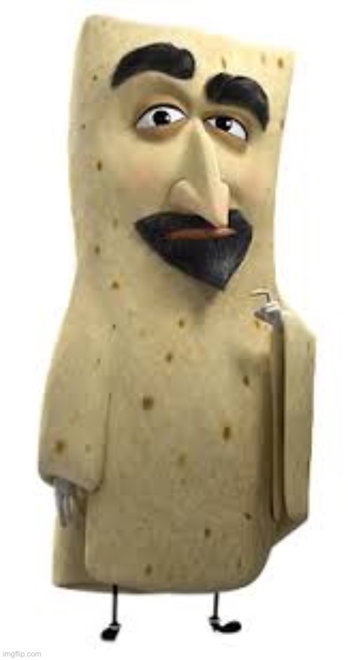 Serj Burrito | image tagged in serj burrito | made w/ Imgflip meme maker