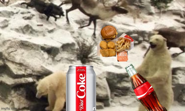 enjoy a coke | image tagged in polar bear,funny | made w/ Imgflip meme maker