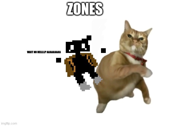 AAAA | ZONES; WAIT NO HELLLLP AAAAAAAAA | image tagged in throwing cat new | made w/ Imgflip meme maker