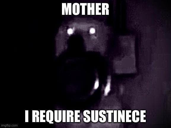 MOTHER I REQUIRE SUSTINECE | made w/ Imgflip meme maker