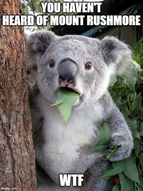 You Haven't Heard Of Mount Rushmore | YOU HAVEN'T HEARD OF MOUNT RUSHMORE; WTF | image tagged in memes,surprised koala | made w/ Imgflip meme maker