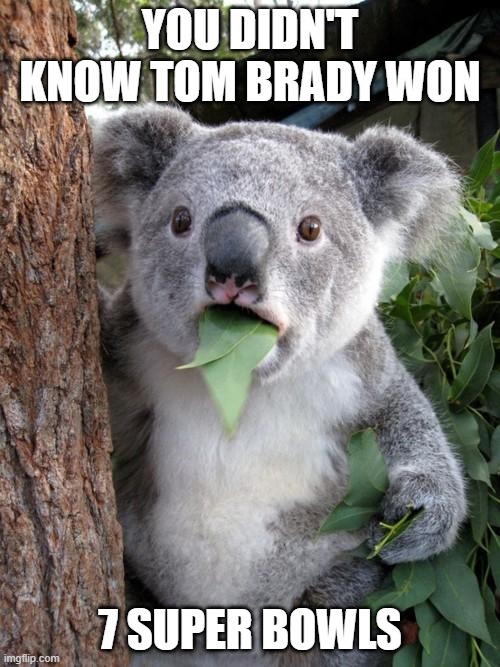 Tom Brady 7 Super Bowls Koala Surprised face | YOU DIDN'T KNOW TOM BRADY WON; 7 SUPER BOWLS | image tagged in memes,surprised koala | made w/ Imgflip meme maker
