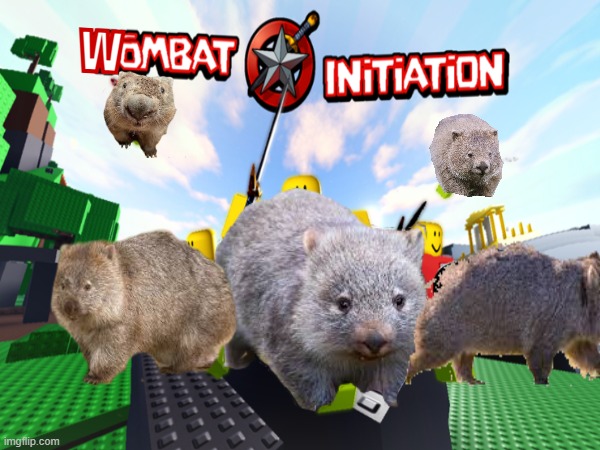 WOMBAT INITIATION | W | made w/ Imgflip meme maker