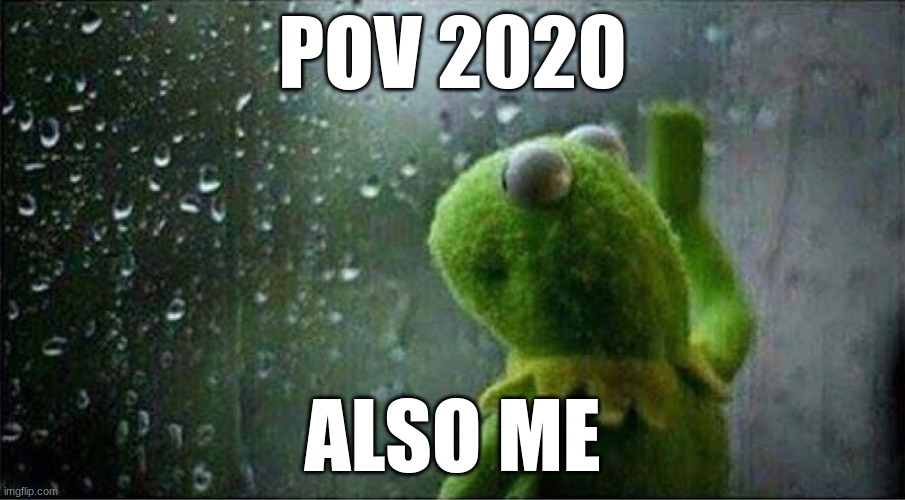 2020 | POV 2020; ALSO ME | image tagged in kermit staring out of window | made w/ Imgflip meme maker