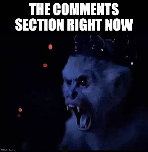 Rage monkey | THE COMMENTS SECTION RIGHT NOW | image tagged in superman | made w/ Imgflip meme maker