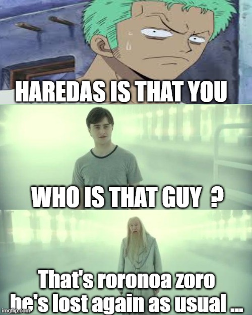 no idea how zoro ended up in harry potter world  xD | HAREDAS IS THAT YOU; WHO IS THAT GUY  ? That's roronoa zoro he's lost again as usual ... | image tagged in zoro,visible confusion,lost,one piece | made w/ Imgflip meme maker