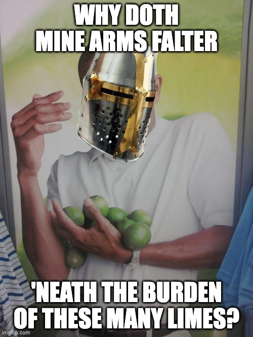 HEHEHEHE | WHY DOTH MINE ARMS FALTER; 'NEATH THE BURDEN OF THESE MANY LIMES? | image tagged in memes,why can't i hold all these limes,medieval | made w/ Imgflip meme maker