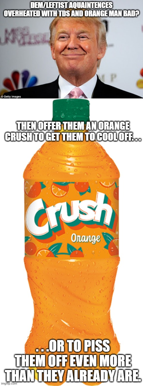 Thanks to 17Patriots4Truth on another site for giving me the idea. | DEM/LEFTIST AQUAINTENCES OVERHEATED WITH TDS AND ORANGE MAN BAD? THEN OFFER THEM AN ORANGE CRUSH TO GET THEM TO COOL OFF. . . . . .OR TO PISS THEM OFF EVEN MORE THAN THEY ALREADY ARE. | image tagged in donald trump approves,tds,political meme,political humor,meme | made w/ Imgflip meme maker