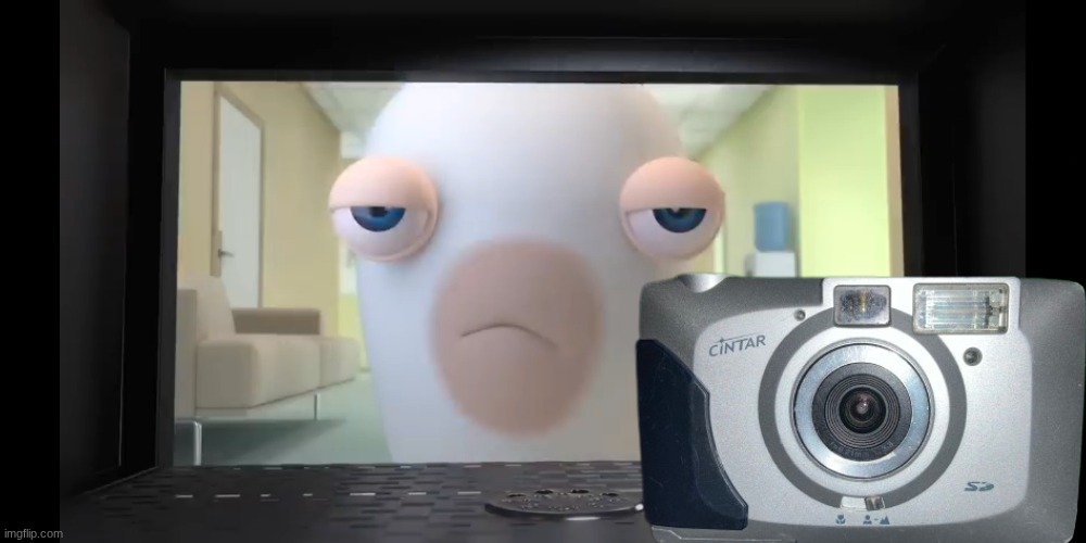Annoyed Rabbid | image tagged in annoyed rabbid | made w/ Imgflip meme maker