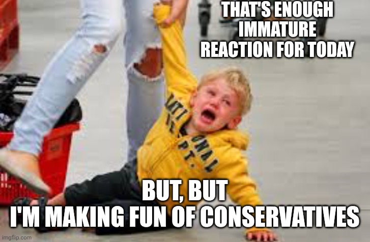 Tantrum store | THAT'S ENOUGH IMMATURE REACTION FOR TODAY BUT, BUT
I'M MAKING FUN OF CONSERVATIVES | image tagged in tantrum store | made w/ Imgflip meme maker