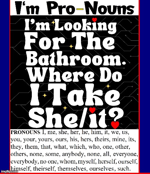 Pronouns Я US | image tagged in vince vance,pronouns,public restrooms,toilet,bathroom,funny memes | made w/ Imgflip meme maker