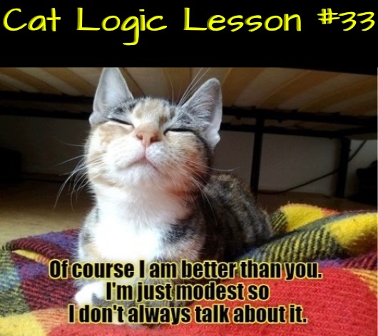 Logic Lesson #33 | Cat Logic Lesson #33 | image tagged in cats,funny cat memes,logic,life lessons,smug,superior royalty | made w/ Imgflip meme maker