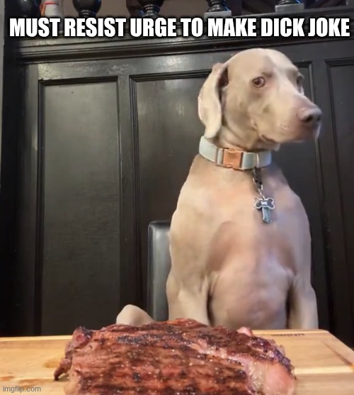 Dog and steak | MUST RESIST URGE TO MAKE DICK JOKE | image tagged in dog and steak | made w/ Imgflip meme maker