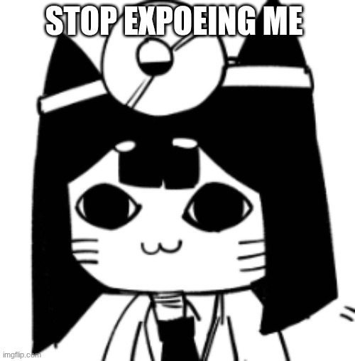 cat eyes | STOP EXPOSING ME | image tagged in cat eyes | made w/ Imgflip meme maker