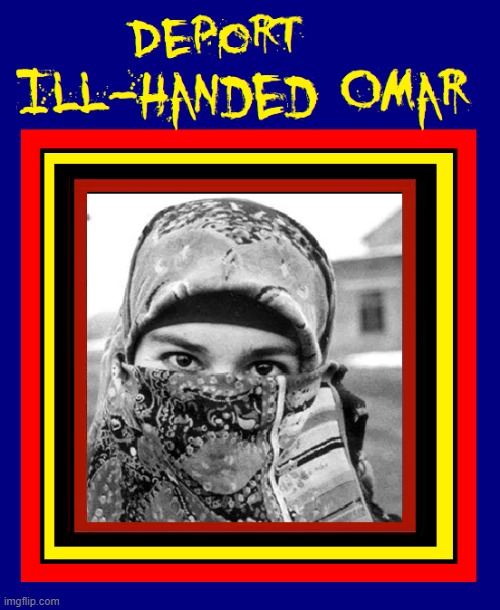 Reason for an Amendment that only natural born citizens may run for congress | image tagged in vince vance,deport,ilhan omar,evil,terrorist,communists | made w/ Imgflip meme maker