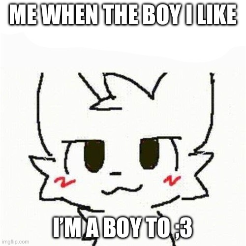 Boys so c00t ;3 | ME WHEN THE BOY I LIKE; I’M A BOY TO ;3 | image tagged in boykisser | made w/ Imgflip meme maker