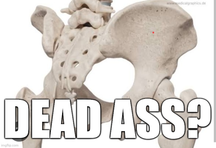 Dead ass? | DEAD ASS? | image tagged in deadass,lol so funny,memes | made w/ Imgflip meme maker