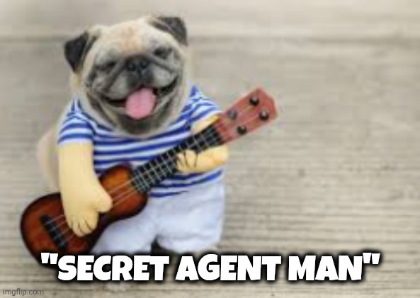Doggo with Ukulele | "SECRET AGENT MAN" | image tagged in doggo with ukulele | made w/ Imgflip meme maker