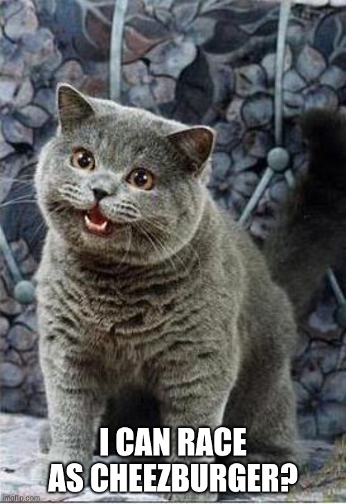 A Cat reacts to Toad (Burger Bud) from Mario Kart World | I CAN RACE AS CHEEZBURGER? | image tagged in i can has cheezburger cat | made w/ Imgflip meme maker