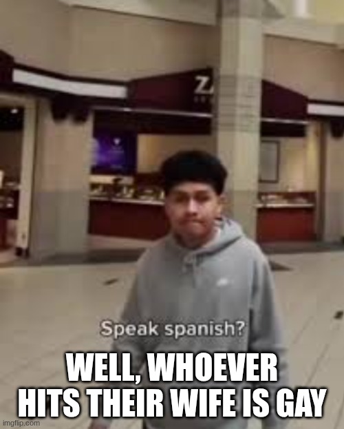 English or Spanish | WELL, WHOEVER HITS THEIR WIFE IS GAY | image tagged in english or spanish | made w/ Imgflip meme maker