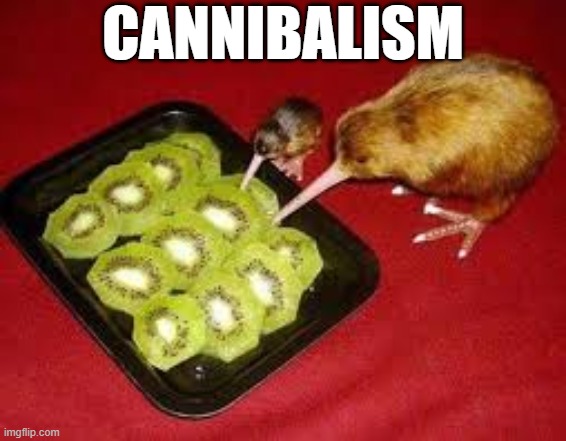 kiwi eats kiwi | CANNIBALISM | image tagged in kiwi eats kiwi | made w/ Imgflip meme maker