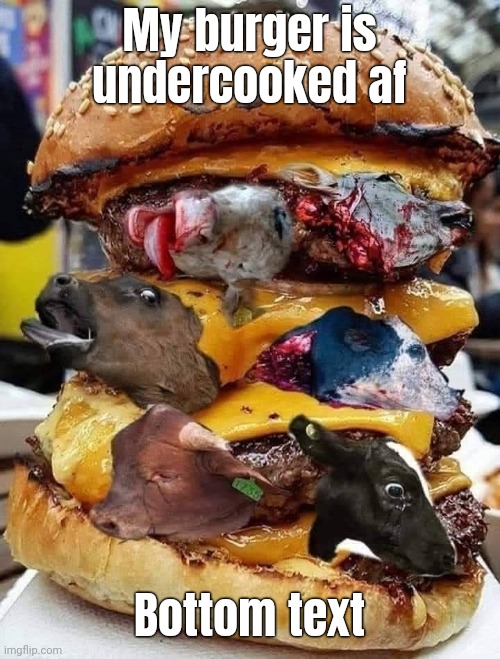 Burgurrr | My burger is undercooked af; Bottom text | image tagged in meet | made w/ Imgflip meme maker