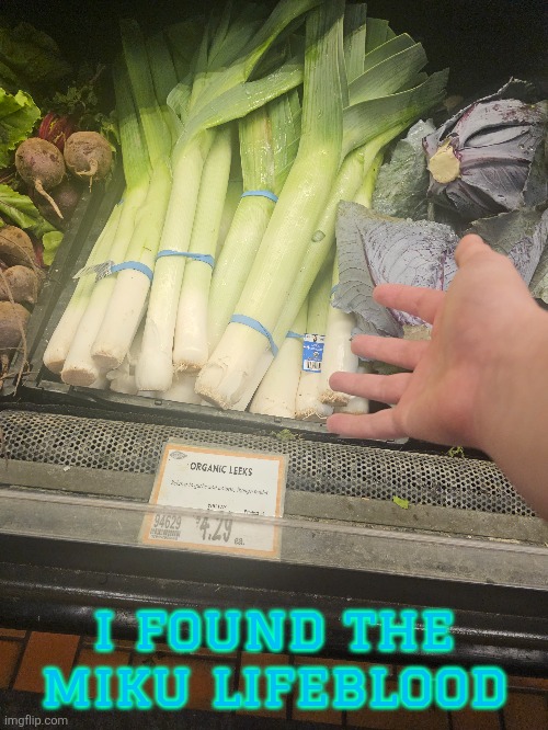i found the miku lifeblood | made w/ Imgflip meme maker