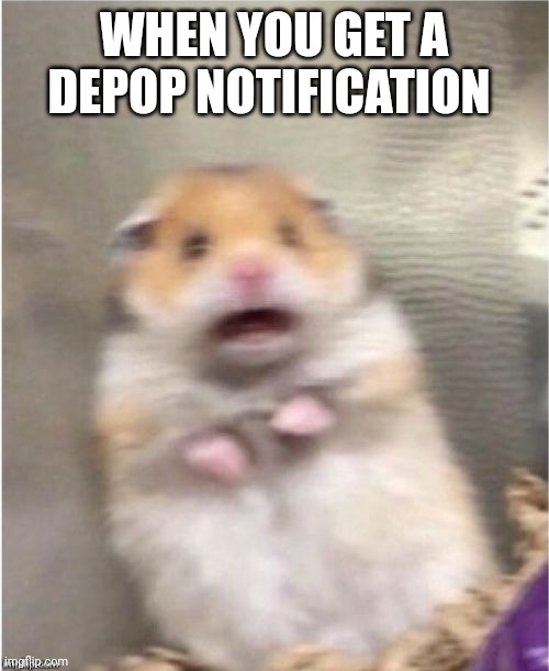 Straight up unnecessary level of vibration | WHEN YOU GET A DEPOP NOTIFICATION | image tagged in scared hamster,depop | made w/ Imgflip meme maker