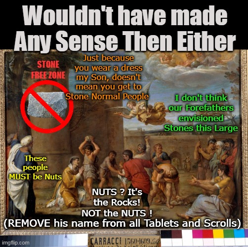 Even 1000 years ago Mental Illness WAS MENTAL ILLNESS | Wouldn't have made Any Sense Then Either; Just because you wear a dress my Son, doesn't mean you get to Stone Normal People; STONE FREE ZONE; I don't think our Forefathers envisioned Stones this Large; These people MUST be Nuts; NUTS ? It's the Rocks! NOT the NUTS ! (REMOVE his name from all Tablets and Scrolls) | image tagged in stoning guns mental illness meme | made w/ Imgflip meme maker