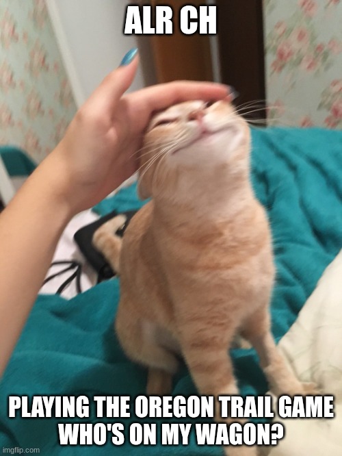 only four slots available! | ALR CH; PLAYING THE OREGON TRAIL GAME
WHO'S ON MY WAGON? | image tagged in cat pat | made w/ Imgflip meme maker