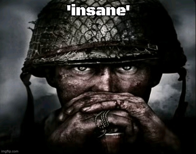 'insane' | image tagged in war guy | made w/ Imgflip meme maker