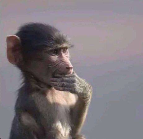High Quality Monkey Deep in Thought Blank Meme Template