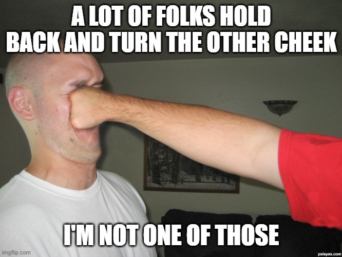 Face punch | A LOT OF FOLKS HOLD BACK AND TURN THE OTHER CHEEK; I'M NOT ONE OF THOSE | image tagged in face punch | made w/ Imgflip meme maker