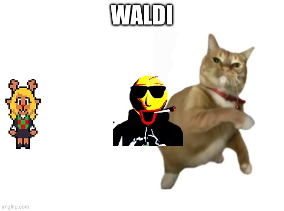 Cat throws waldi at noelle | WALDI | image tagged in throwing cat new | made w/ Imgflip meme maker