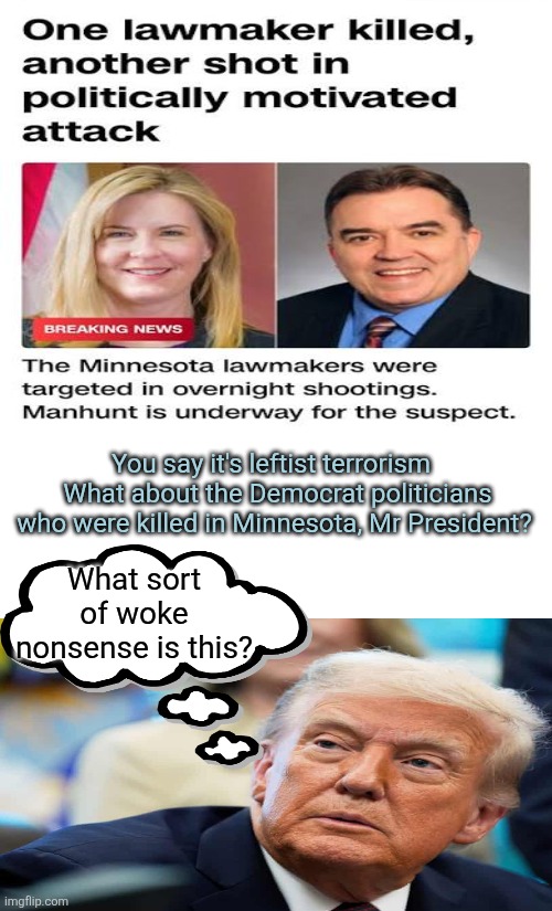 The Trump witch hunt | You say it's leftist terrorism 
 What about the Democrat politicians who were killed in Minnesota, Mr President? What sort of woke nonsense is this? | image tagged in trump,witch hunt,violence against anyone not maga,is fine | made w/ Imgflip meme maker
