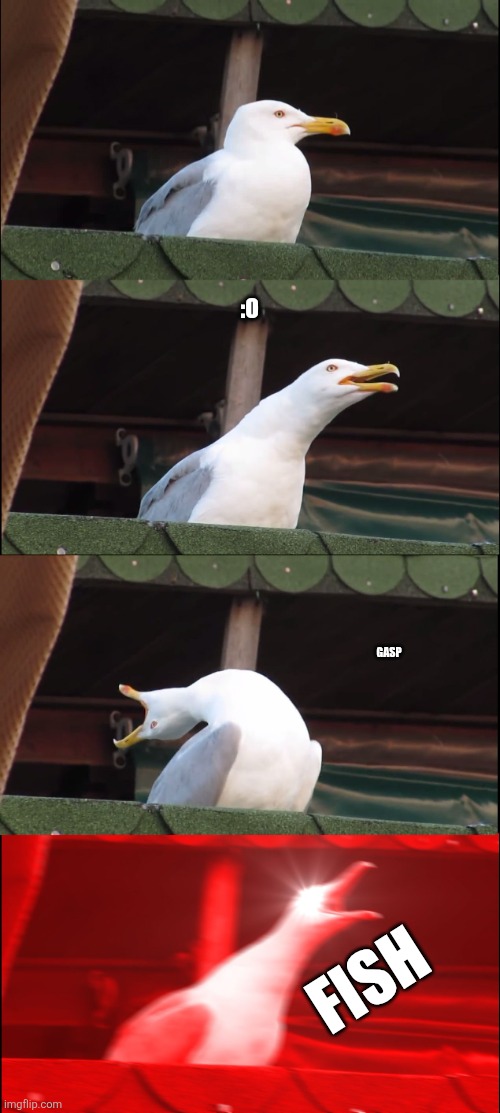 f i s h | :O; GASP; FISH | image tagged in memes,inhaling seagull | made w/ Imgflip meme maker