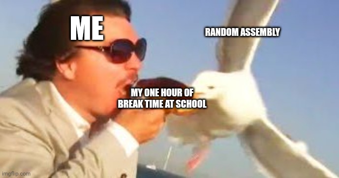 Has this happened | ME; RANDOM ASSEMBLY; MY ONE HOUR OF BREAK TIME AT SCHOOL | image tagged in swiping seagull,school | made w/ Imgflip meme maker