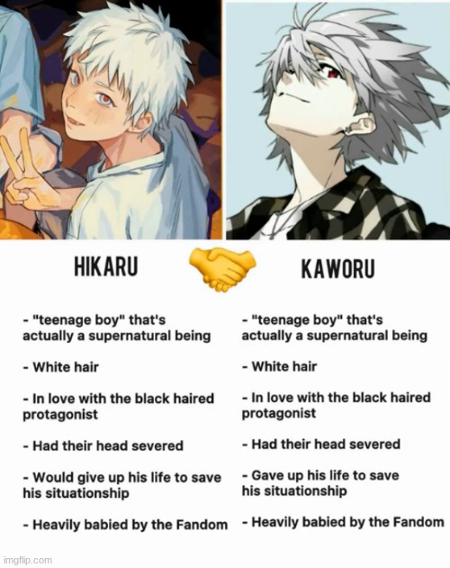 image tagged in the summer hikaru died,evangelion,hikaru,kaworu | made w/ Imgflip meme maker