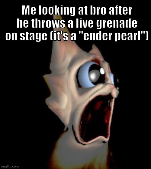 Me looking at bro after he throws a live grenade on stage (it's a "ender pearl") | made w/ Imgflip meme maker