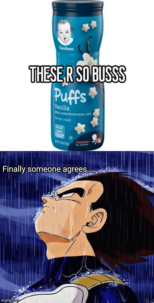 my life is complete | Finally someone agrees.... | image tagged in vegeta in the rain,so true,relatable,yes | made w/ Imgflip meme maker