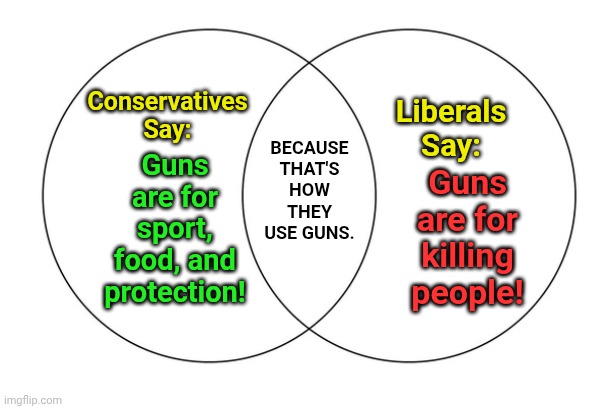 venn diagram | BECAUSE THAT'S HOW THEY USE GUNS. Conservatives Say:; Liberals Say:; Guns are for sport, food, and protection! Guns are for killing people! | image tagged in venn diagram | made w/ Imgflip meme maker